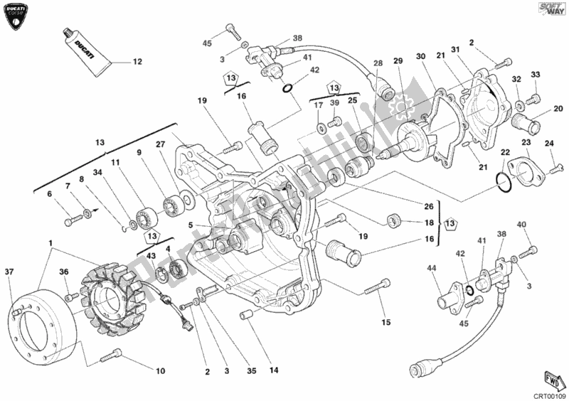 Todas as partes de Tampa Do Gerador do Ducati Superbike 998 RS 2002